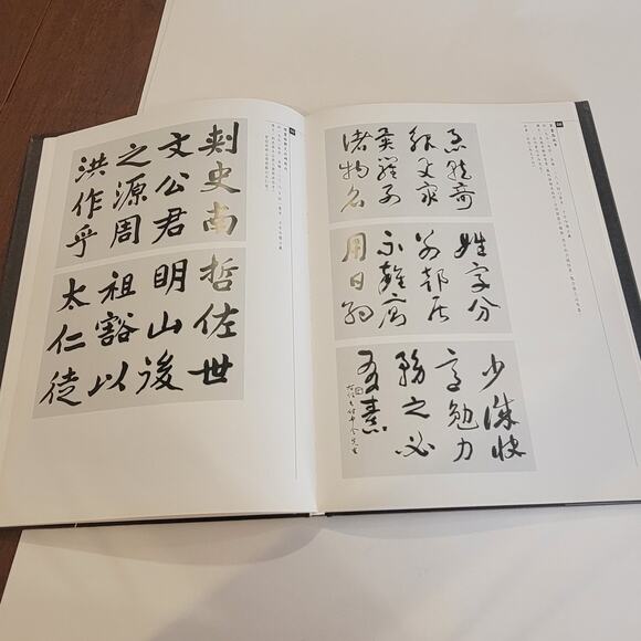 Master Of Cursive Calligraphy: Yu Youren 1879-1964 Hardcover book - Picture 6 of 8